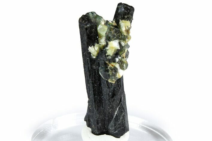 Black Tourmaline (Schorl) w/ Muscovite & Fluorite - Namibia #361695